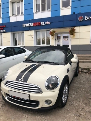 Mini Roarster